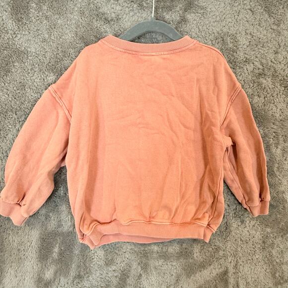 Zara Sweatshirt Graphic Let Your Dreams Fly Toddler Girls 3-4 Years 3T 4T - Picture 2 of 7